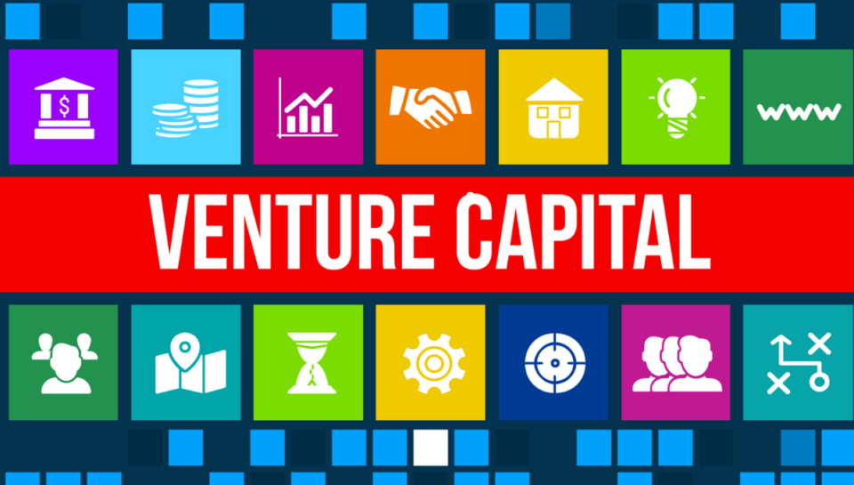 India Venture Capital Report 2024 An In Depth Examination 2 India Venture Capital Report 2024 An In Depth Examination 2