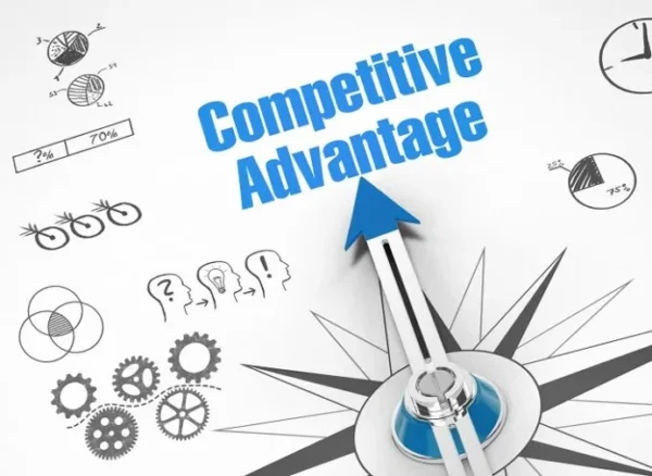 Beyond Competitive Advantage Building Lasting Value in Modern Business