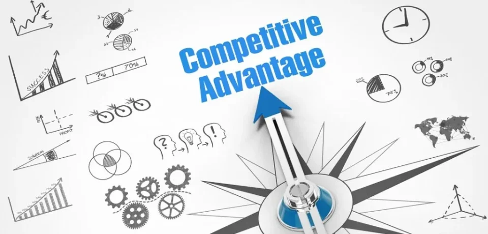 Beyond Competitive Advantage Building Lasting Value in Modern Business